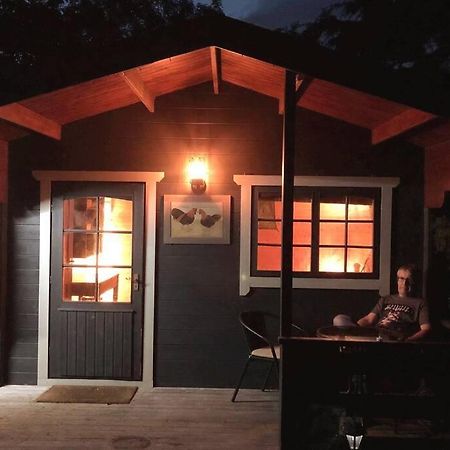 Unique Tiny House Near 3 Peaks - The Zedshed Lejlighed Bentham Eksteriør billede